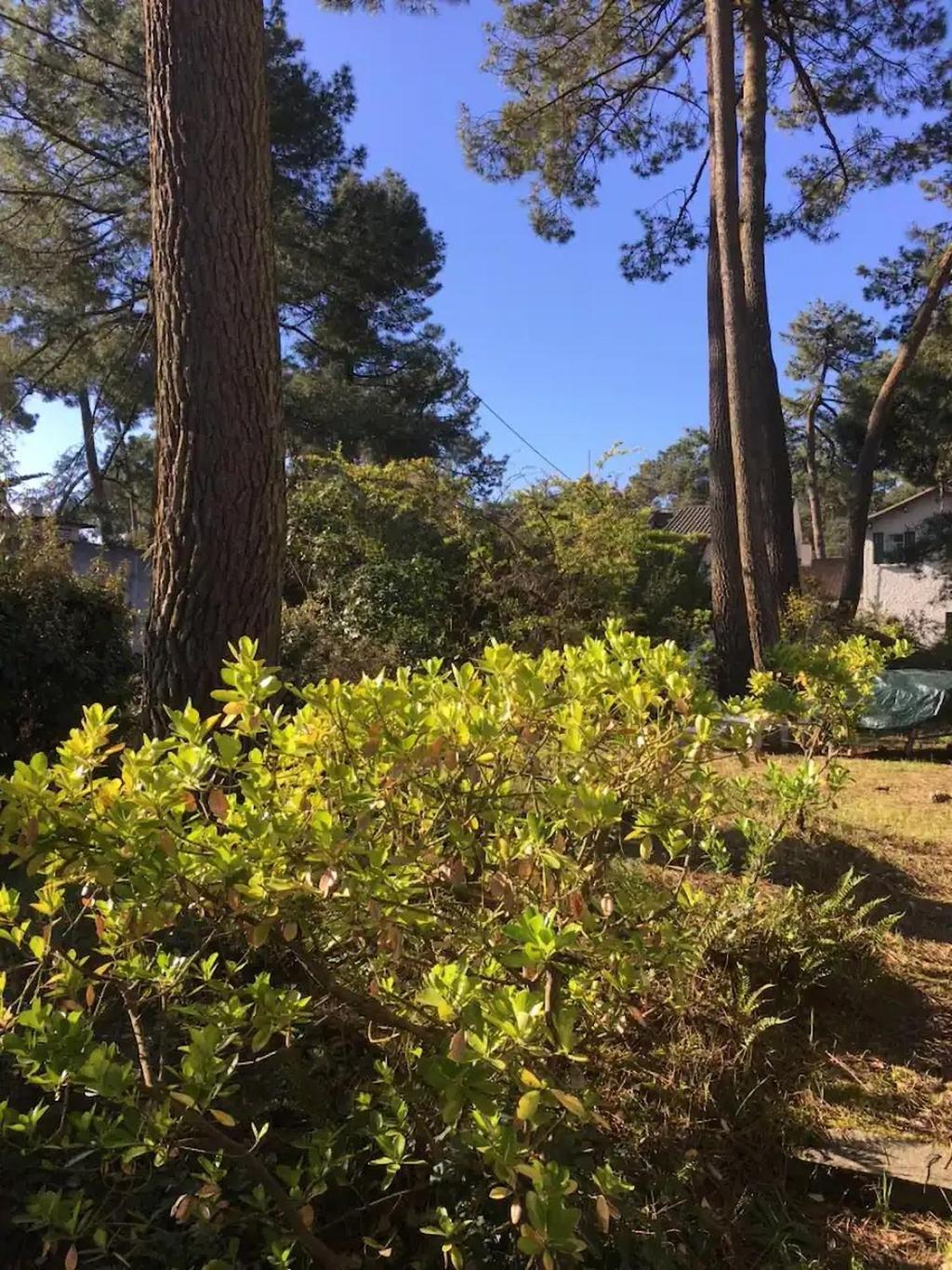 Villa L'Herbaudiere - La Baule Les Pins Exteriér fotografie